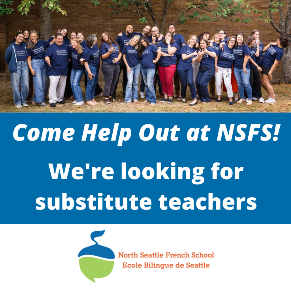 Flyer substitute teachers NSFS